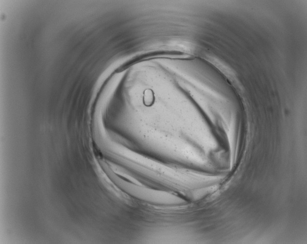 X0000066101200200603312017