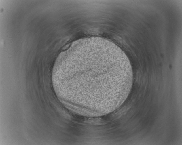 X0000066101201200603312016