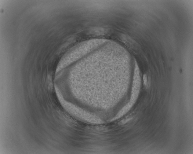 X0000066101203200603312016