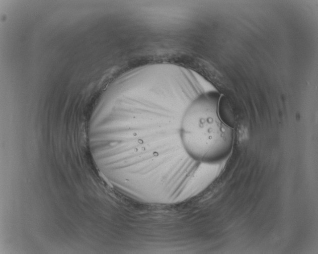 X0000066101204200603312016