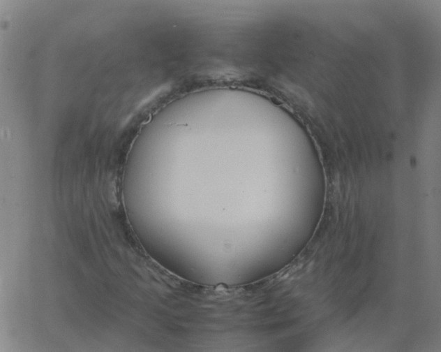 X0000066101205200603312016