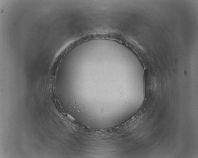 X0000066101208200603312016