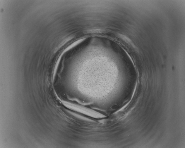 X0000066101209200603312016