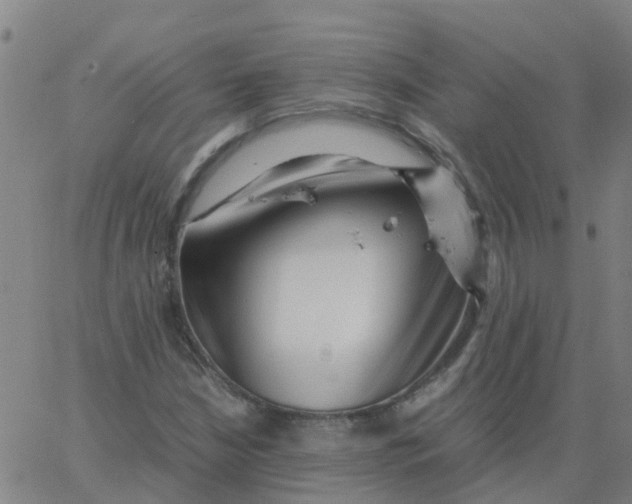 X0000066101210200603312016