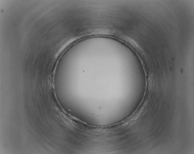 X0000066101212200603312016