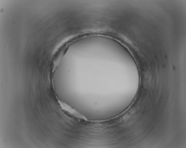 X0000066101214200603312016