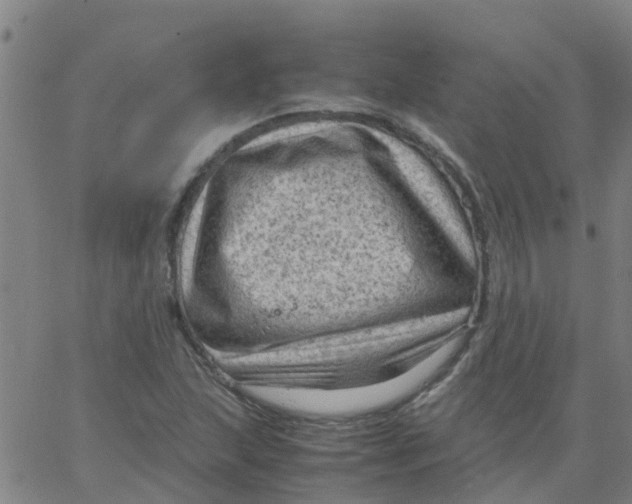 X0000066101215200603312017