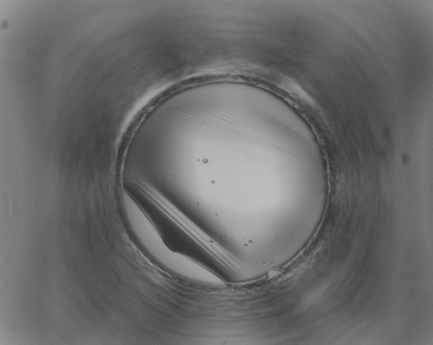 X0000066101216200603312017