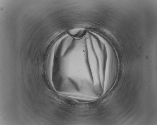 X0000066101217200603312017