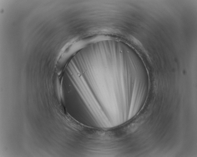 X0000066101218200603312017