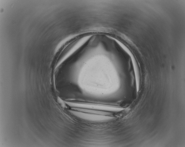 X0000066101222200603312017