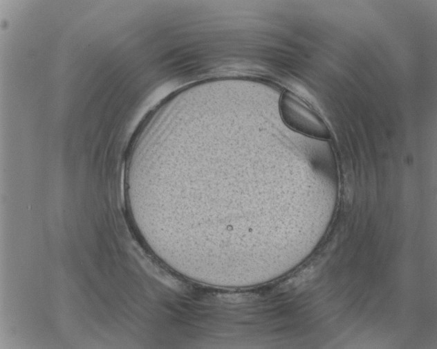 X0000066101227200603312017