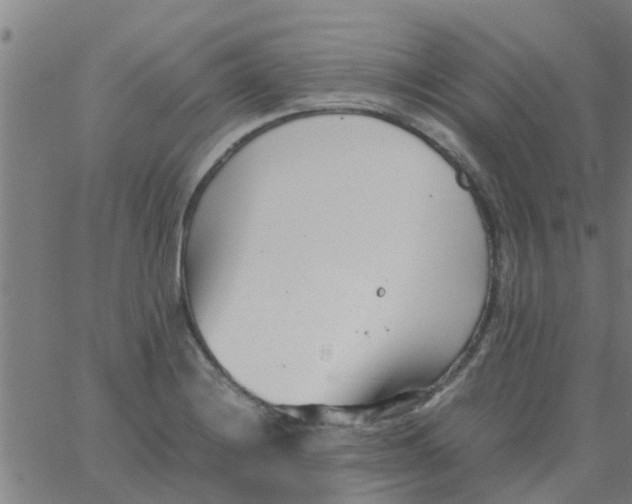 X0000066101228200603312017