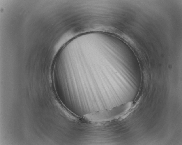 X0000066101230200603312017