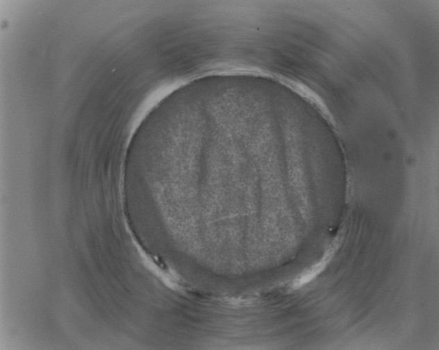 X0000066101231200603312017