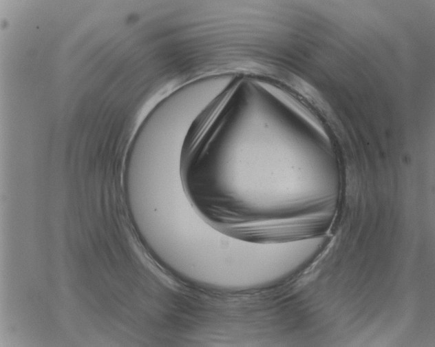 X0000066101234200603312017