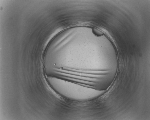 X0000066101235200603312017