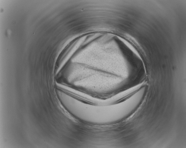 X0000066101236200603312017