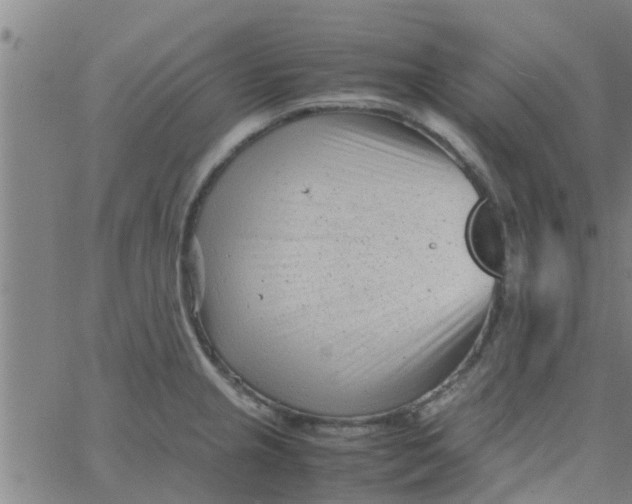 X0000066101237200603312017