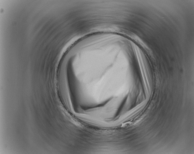 X0000066101240200603312017