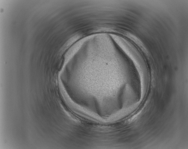 X0000066101241200603312017