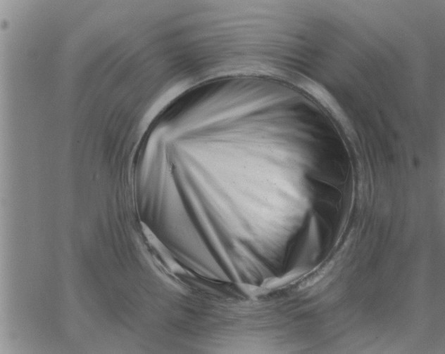 X0000066101242200603312017