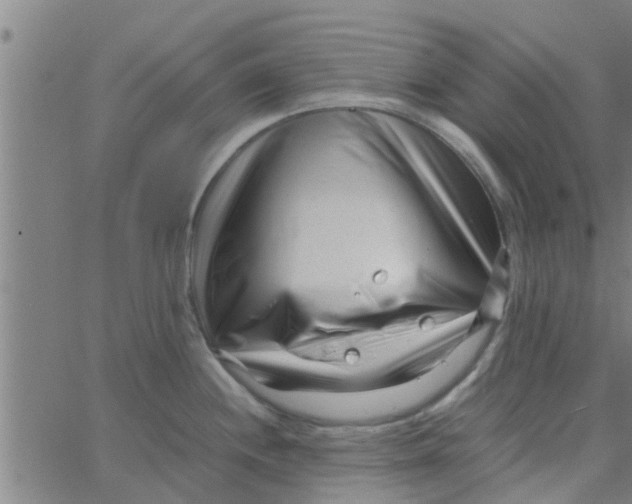 X0000066101244200603312017