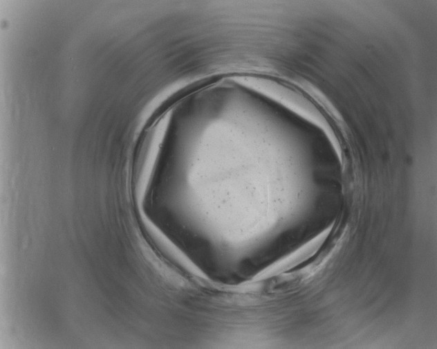 X0000066101246200603312017