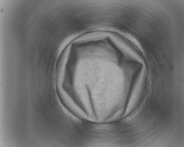 X0000066101247200603312017