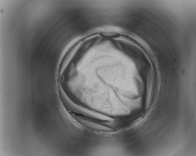 X0000066101248200603312017