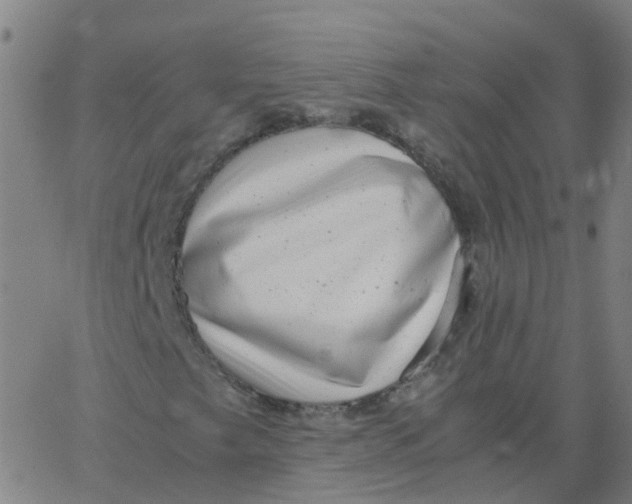 X0000066101249200603312016