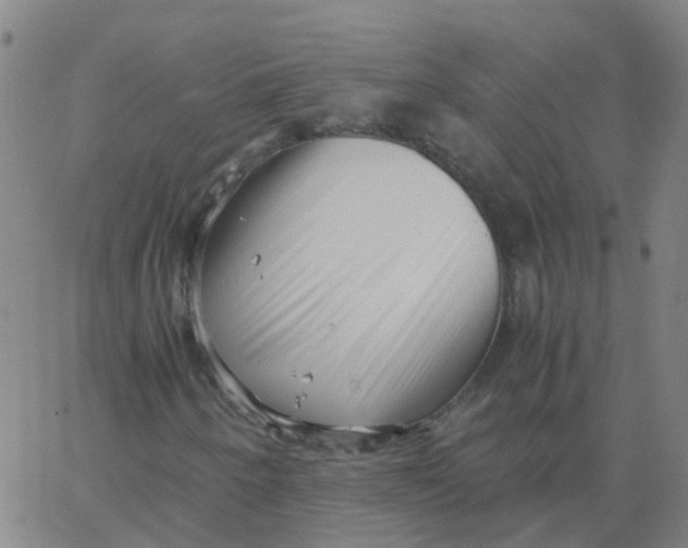 X0000066101250200603312016