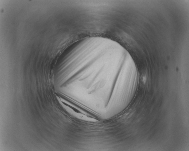 X0000066101252200603312016