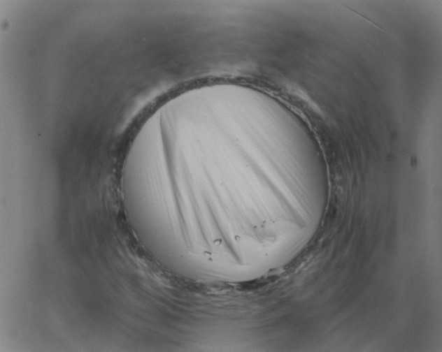 X0000066101256200603312016