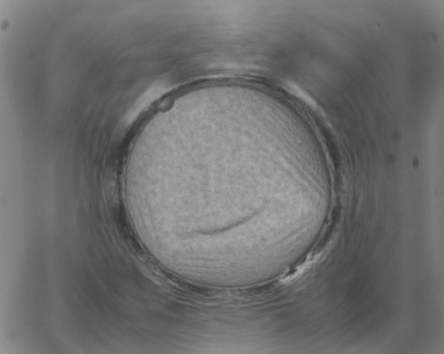 X0000066101259200603312016