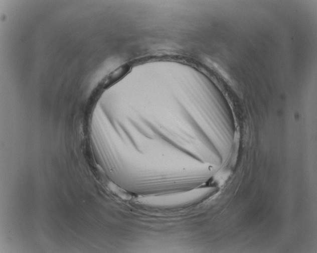 X0000066101261200603312016