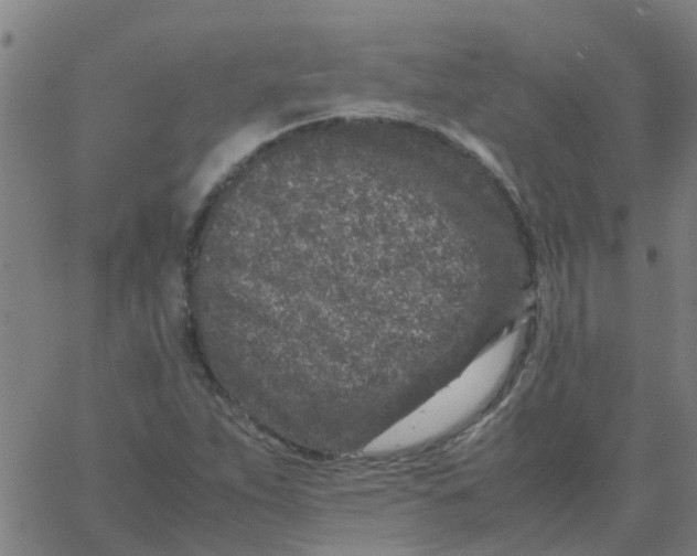 X0000066101263200603312016