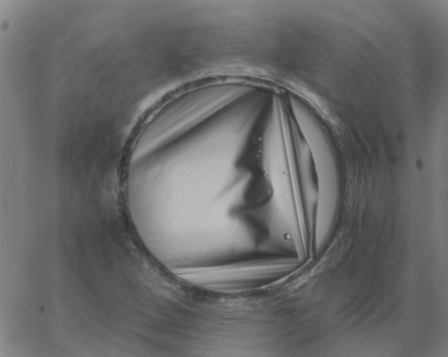 X0000066101264200603312016