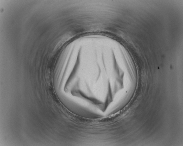 X0000066101265200603312016