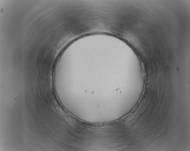 X0000066101268200603312016