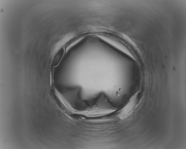 X0000066101269200603312016