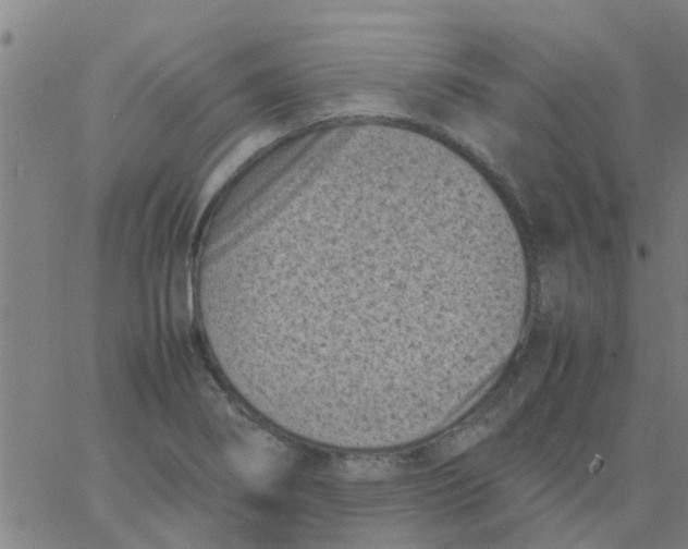 X0000066101274200603312016