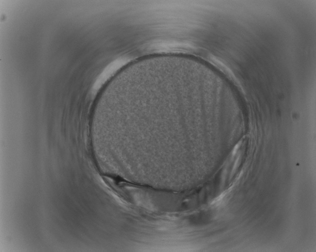 X0000066101277200603312016