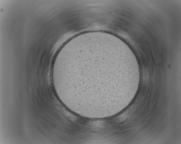 X0000066101278200603312016