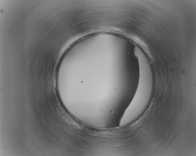 X0000066101280200603312016