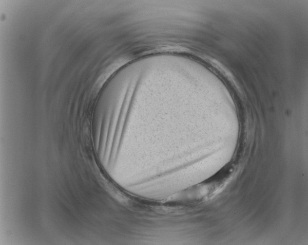 X0000066101281200603312016