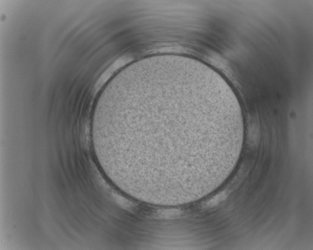 X0000066101282200603312016