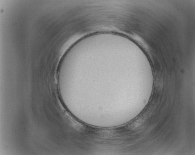 X0000066101287200603312016