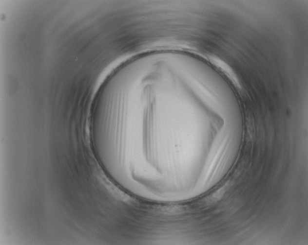 X0000066101288200603312016