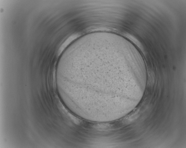 X0000066101290200603312016